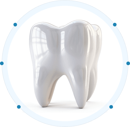Dental Tooth